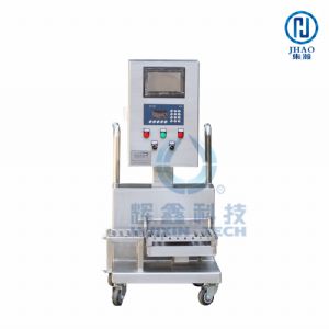Online Weight Check Machine
